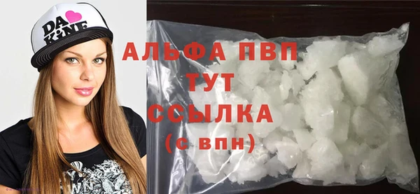 индика Богданович