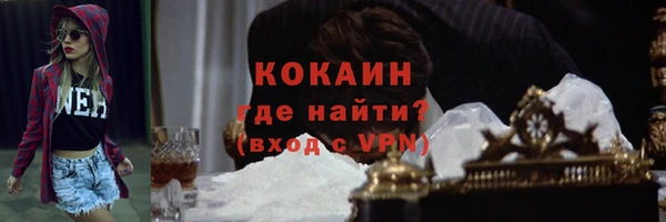индика Богданович
