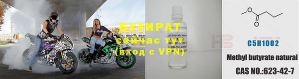 индика Богданович