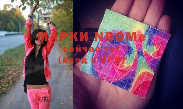 индика Богданович