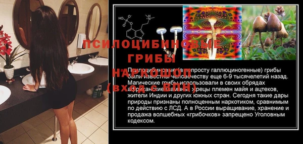 экстази Богородск