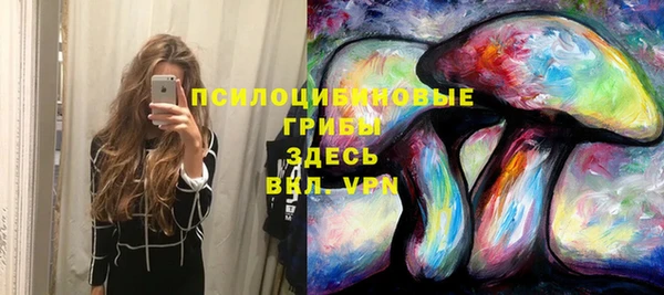 Альфа ПВП Богородицк