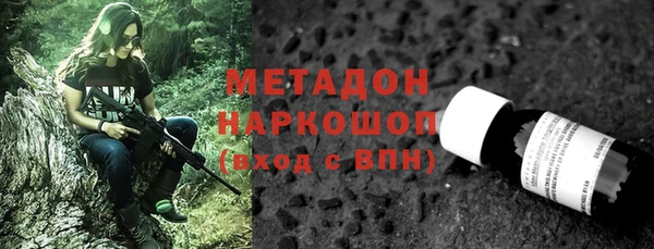 индика Богданович