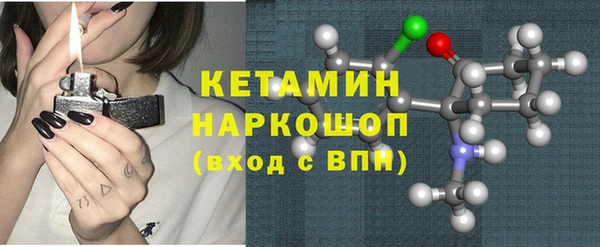 индика Богданович