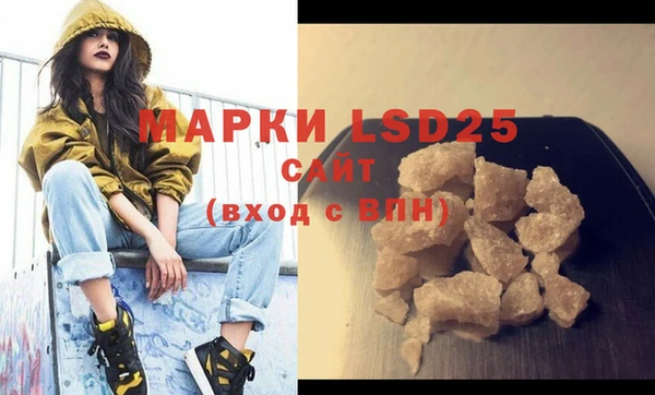 индика Богданович