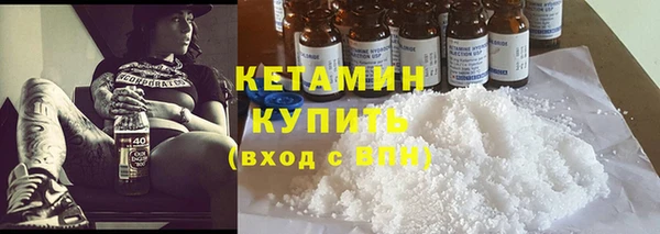 индика Богданович